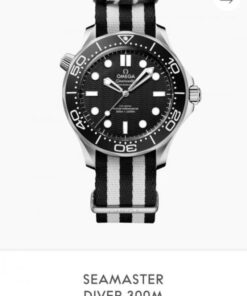 Omega Seamaster Diver 300 Automatic