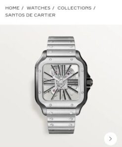 Cartier Santos Skeleton Battery Silver-Black